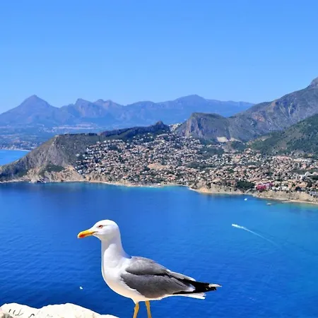 Villavalley Calpe