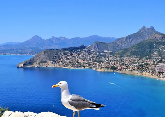 Villavalley Κάλπε